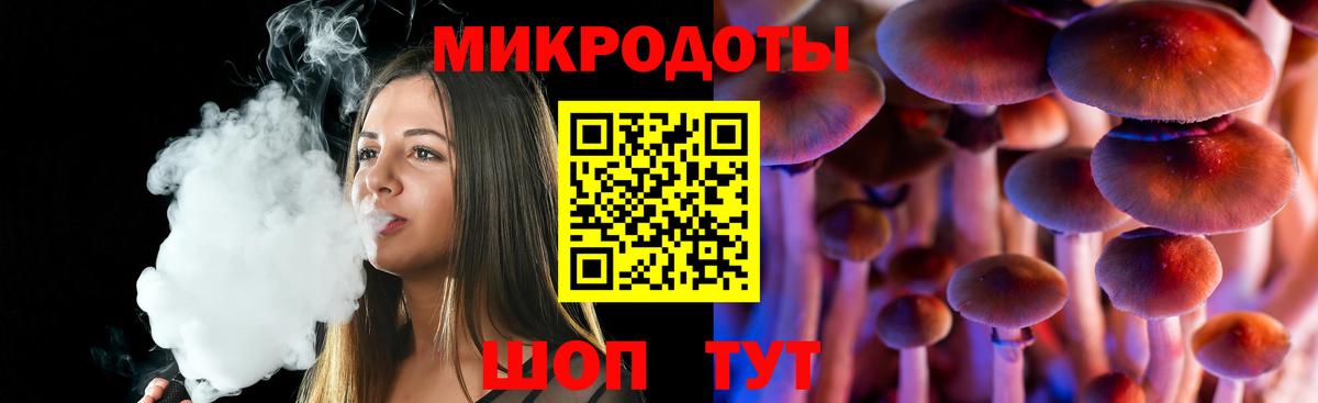 Псилоцибиновые грибы Psilocybe Улан-Удэ